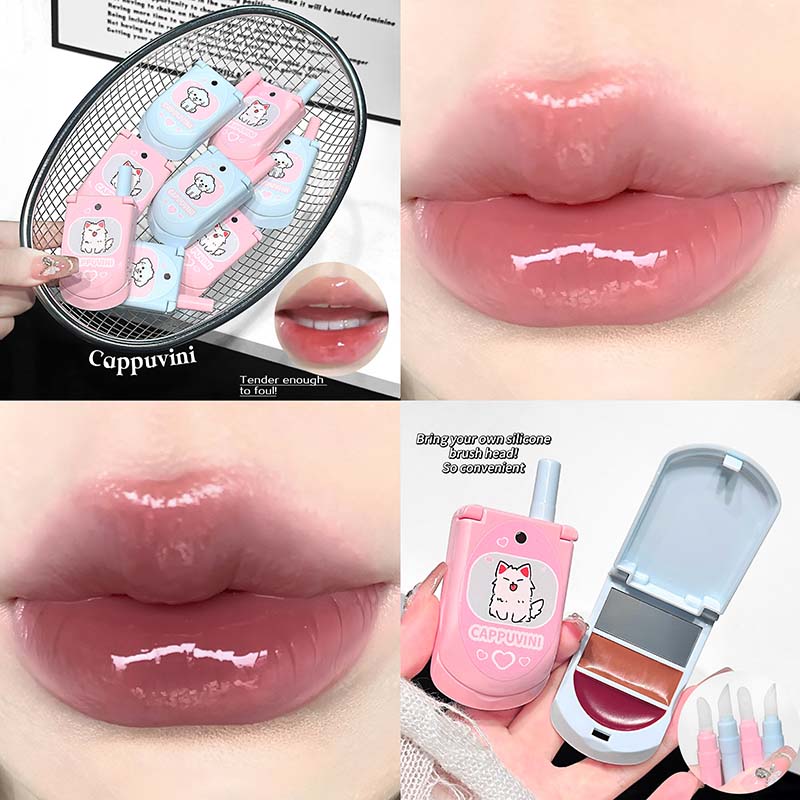 듀얼 컬러 모이스춰라이징 솔리드 립글로스 플립폰 디자인 - Lip Gloss Plumping 리뷰 및 가격