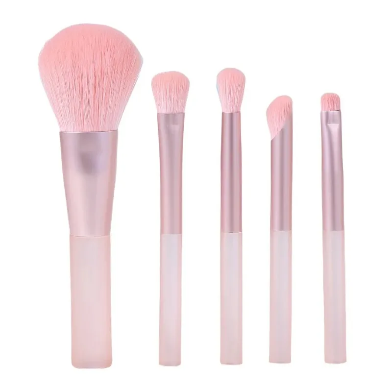 5종 메이크업 브러쉬 세트, 초극세사 파우더 블러셔 브 - Beauty Makeup Gift Sets 리뷰 및 가격